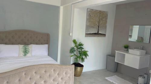 Dream stay 3