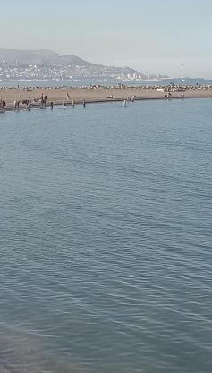 My home