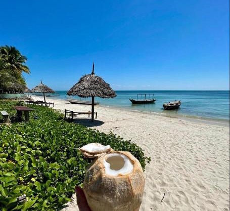 New Afro Beach Bungalows