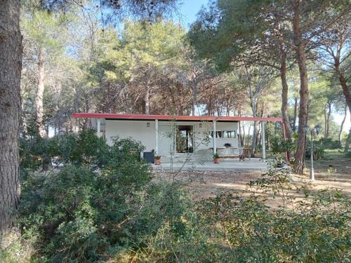 La casa nella pineta