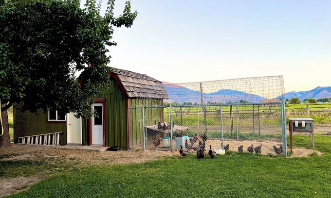 Salmon House | Mountain getaway on a private culdesac, 360 views out large windows.