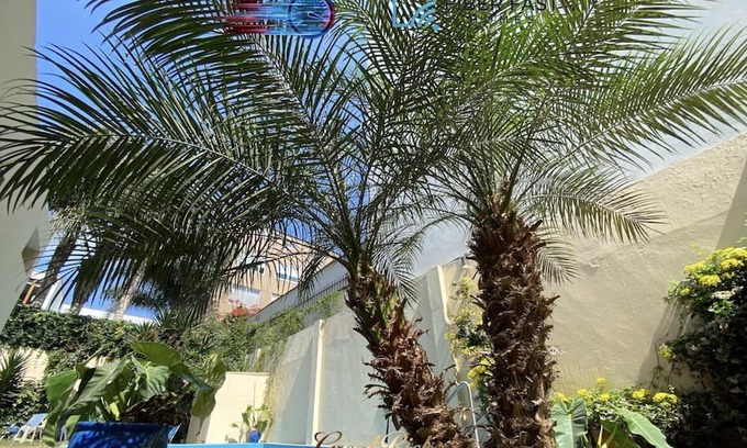 San Isidro Villa | Rustical Place in Historic Forest Olivar