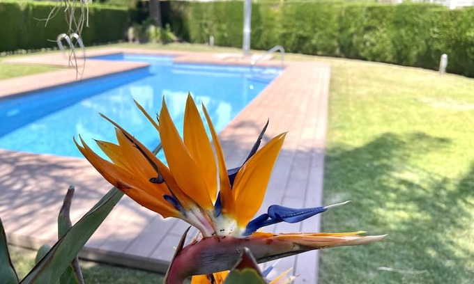 Miami Platja Apartment | APARTBEACH - PANORAMIC WITH BEACH AND POOL VIEWS