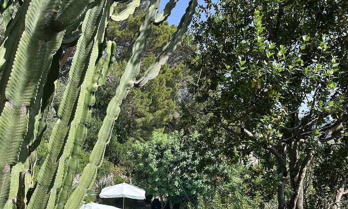 Anacapri Cottage | Peaceful Capri Garden Studio Villa with superb swimming pool and views