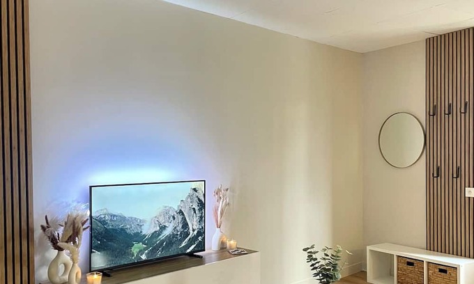 La Ferte-Saint-Aubin Apartment | Sologne évasion