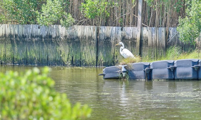 Remsenburg House | Hamptons Retreat w/Private Dock, Kayak & Canoe!