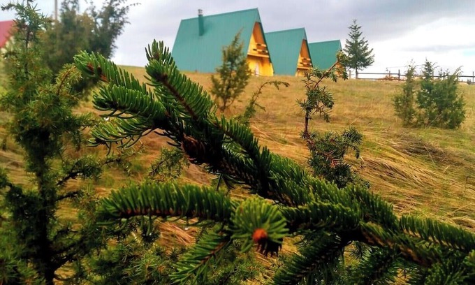 Zabljak Cabin | D&N place