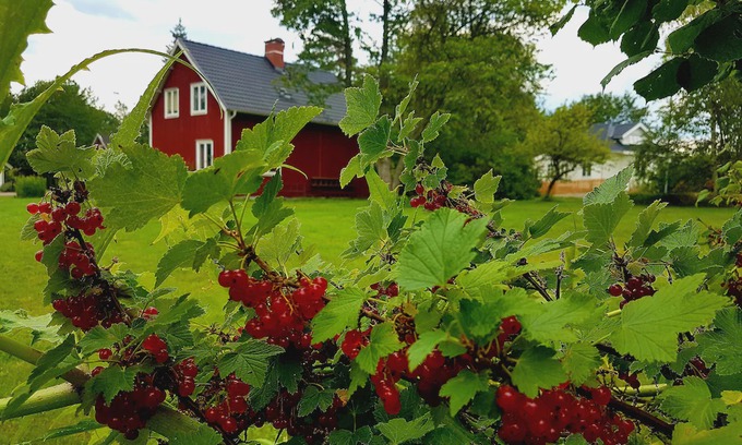 Klavrestrom House | Pure relaxation in the Klavreström vacation home with canoe!