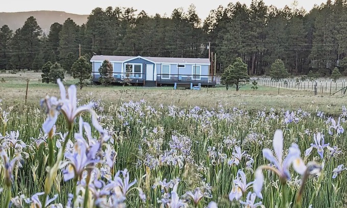 Alpine House | Hays Hideaway