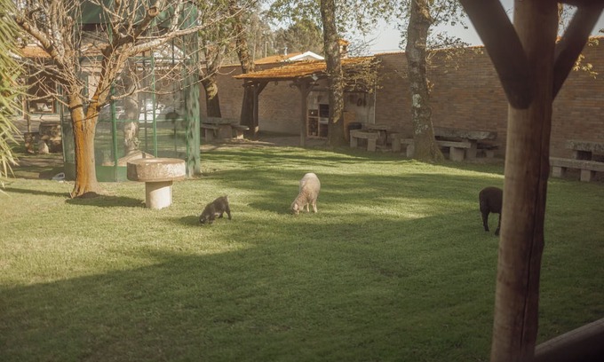 Mozelos Cottage | Quinta Verde Esperança - Casa do Sobreiro