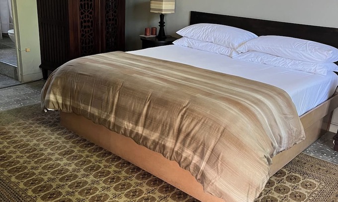 Constant Spring Bed & Breakfast | Charming B&B with AC, treadmill, WiFi in Soothing Stony Hill close to Manor Pk.